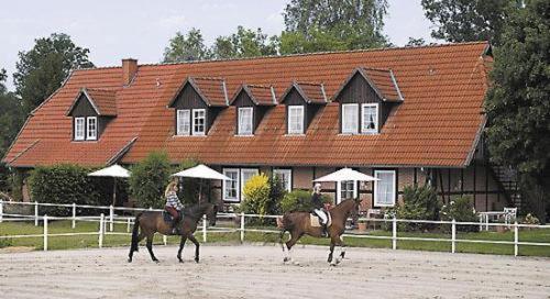 Heidehotel Gut Landliebe ヘルマンスブルク エクステリア 写真